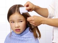 Lice Removal Montreal image 1